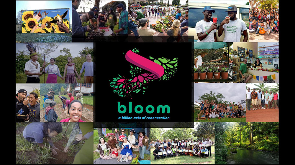 scenes of people Blooming with each other all over the world