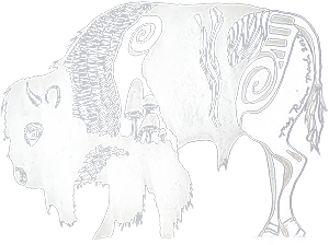 buffalo black and white pen drawing