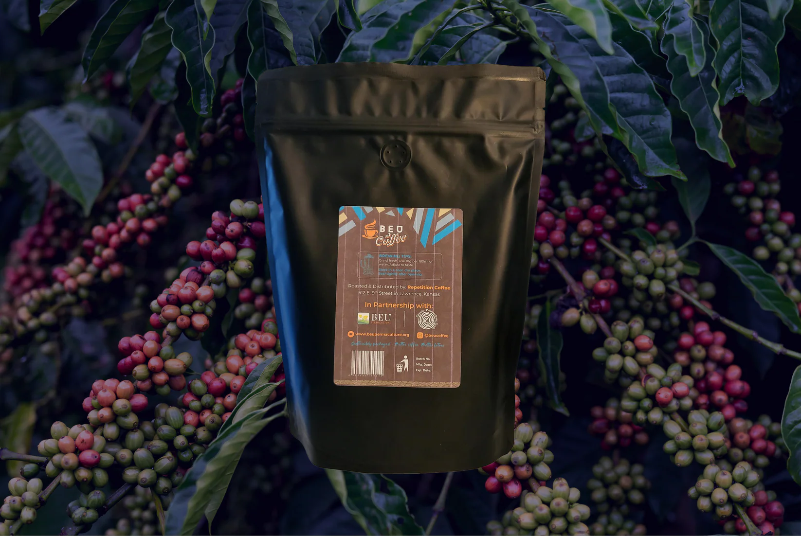 Robusta Roasted Beans By Bloom Uganda - Back