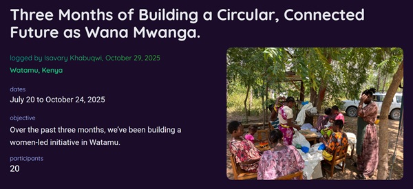 Screenshot showing action logging, impact metrics, and grant distribution