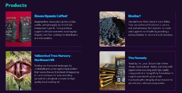 Screenshot showing business profile, marketplace listing, marketing tools, and network connections for entrepreneurs