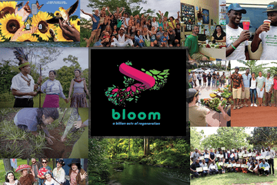 Bloom Network Quarterly Community Call